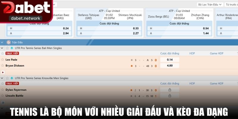 Tennis là bộ môn với nhiều giải đấu và kèo đa dạng